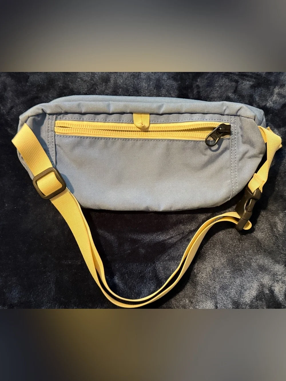 Walker goods Hip pack Fanny pack light blue